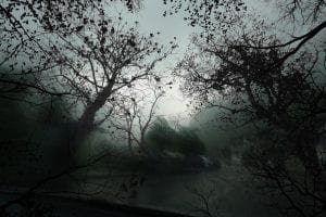 arte natura e cambiamenti in una foto