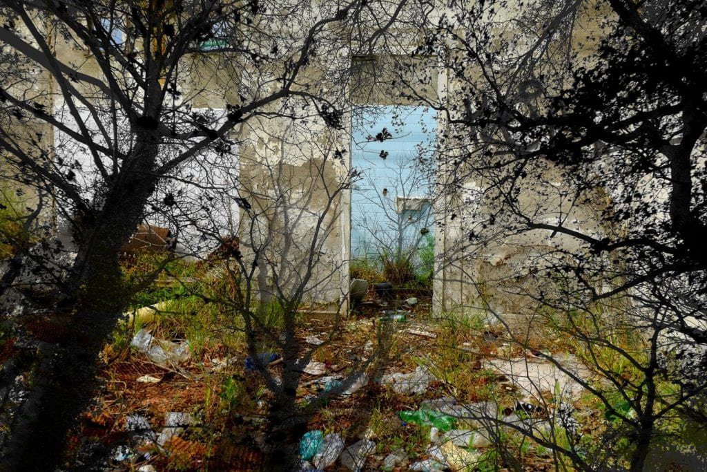 post biennale venezia arte natura e cambiamenti in una foto porta