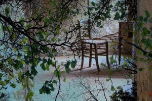 arte natura e cambiamenti in una foto