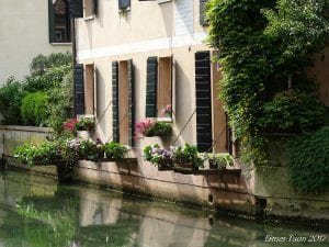 treviso local guide veneto