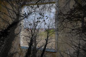 Enchanted nature - Palazzo Mora Enchanted Nature