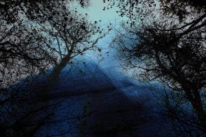 Enchanted nature - Palazzo Mora Enchanted Nature