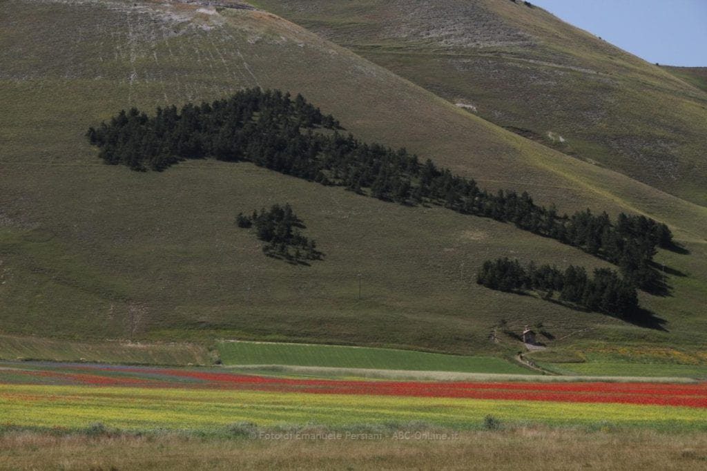 Dove dormire per visitare la fioritura