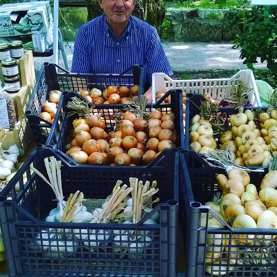 la quarta di scheggino mercato