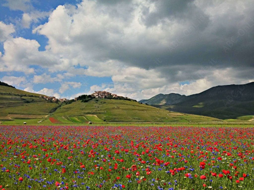 agriturismo per la fioritura di castelluccio