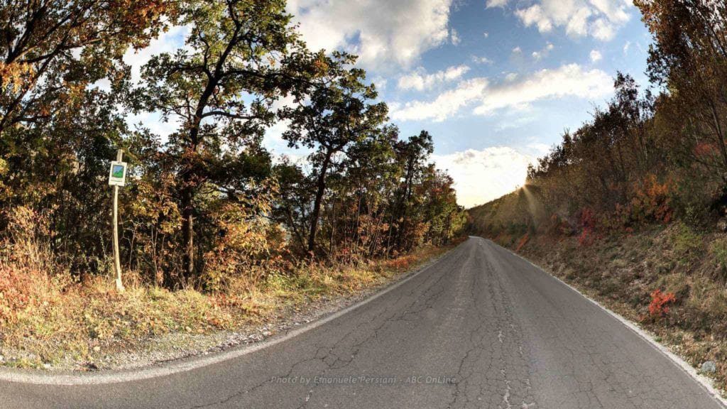 Passeggiate in autunno nei boschi colorati