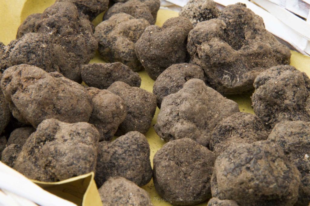 Alla scoperta del Tartufo Nero a Norcia da dicembre a fine febbraio