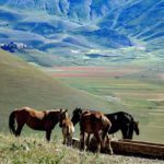 Prenota una settimana a cavallo e dormi a Norcia