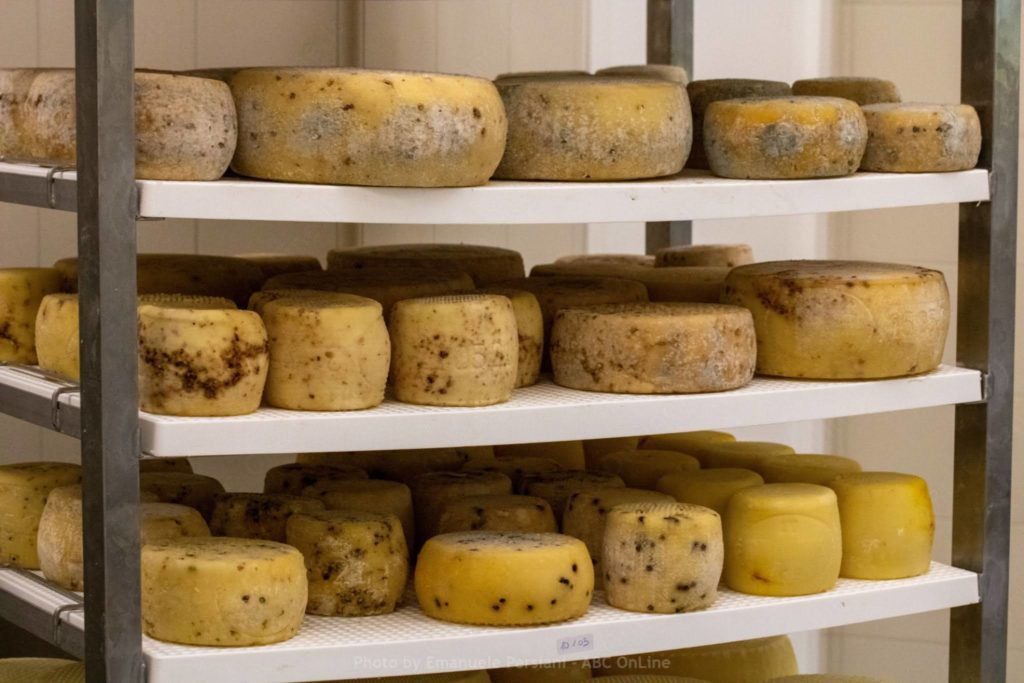 caseifici aperti la domenica a norcia e in valnerina