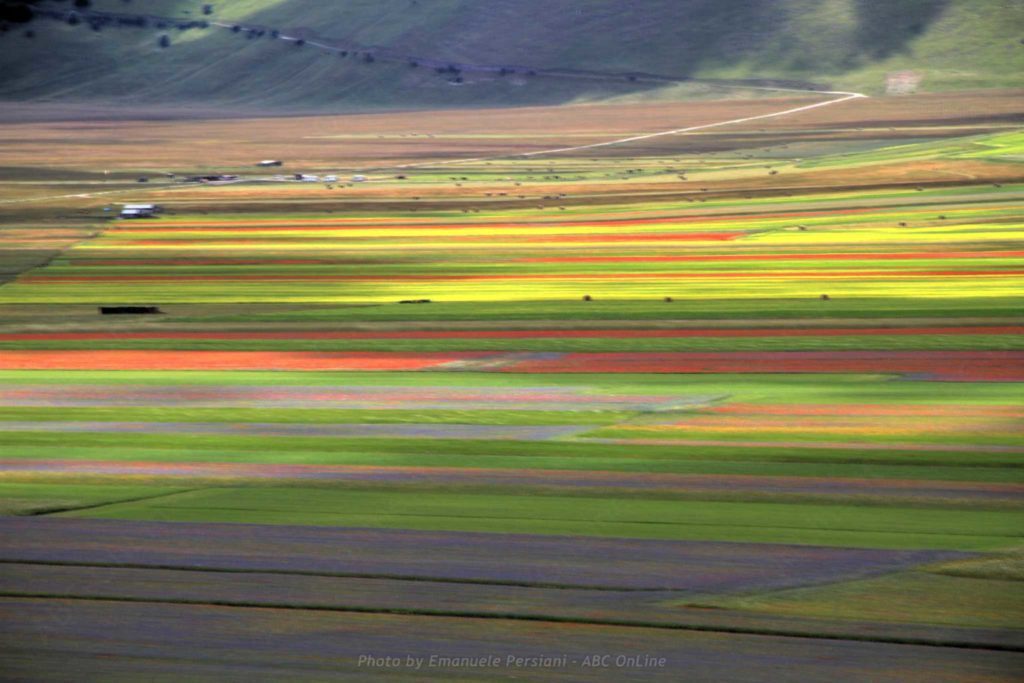 cosa fare a norcia nella settimana della fioritura di castelluccio di norcia
