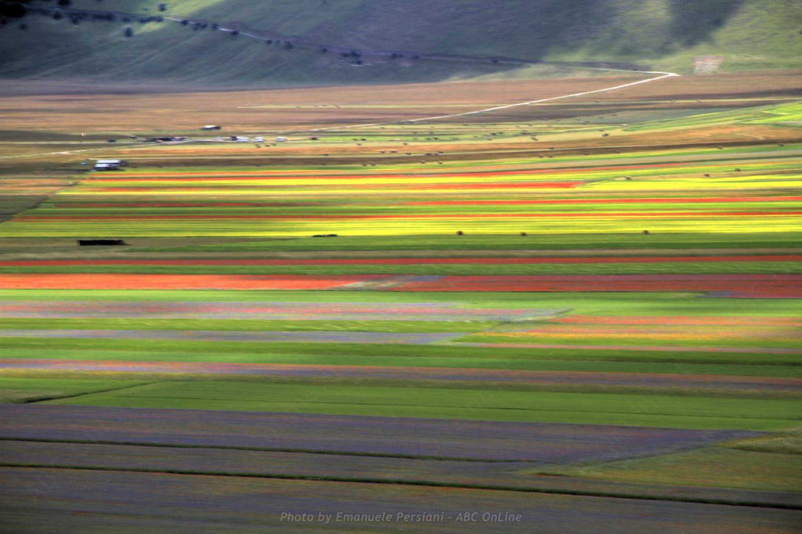 cosa fare a norcia nella settimana della fioritura di castelluccio di norcia
