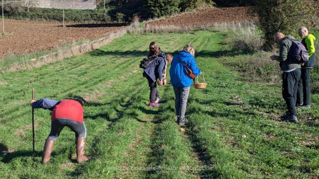 Idee regalo di Natale escursioni con esperienze in aziende agricole