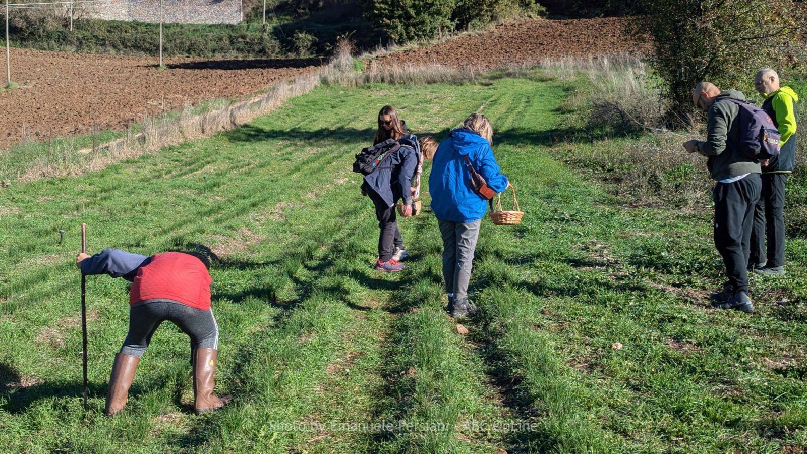 Idee regalo di Natale escursioni con esperienze in aziende agricole