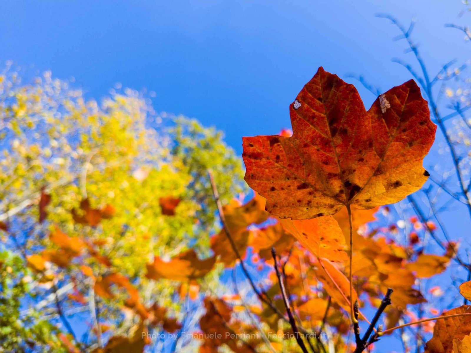 Foliage escursione in Valnerina colori foglie