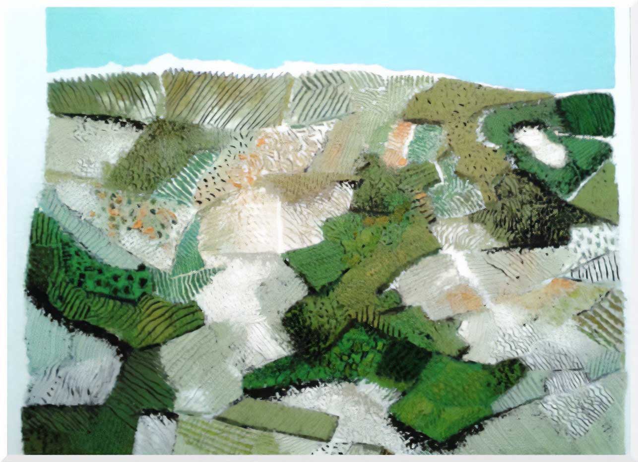 Il paesaggio che ci rubano copertina