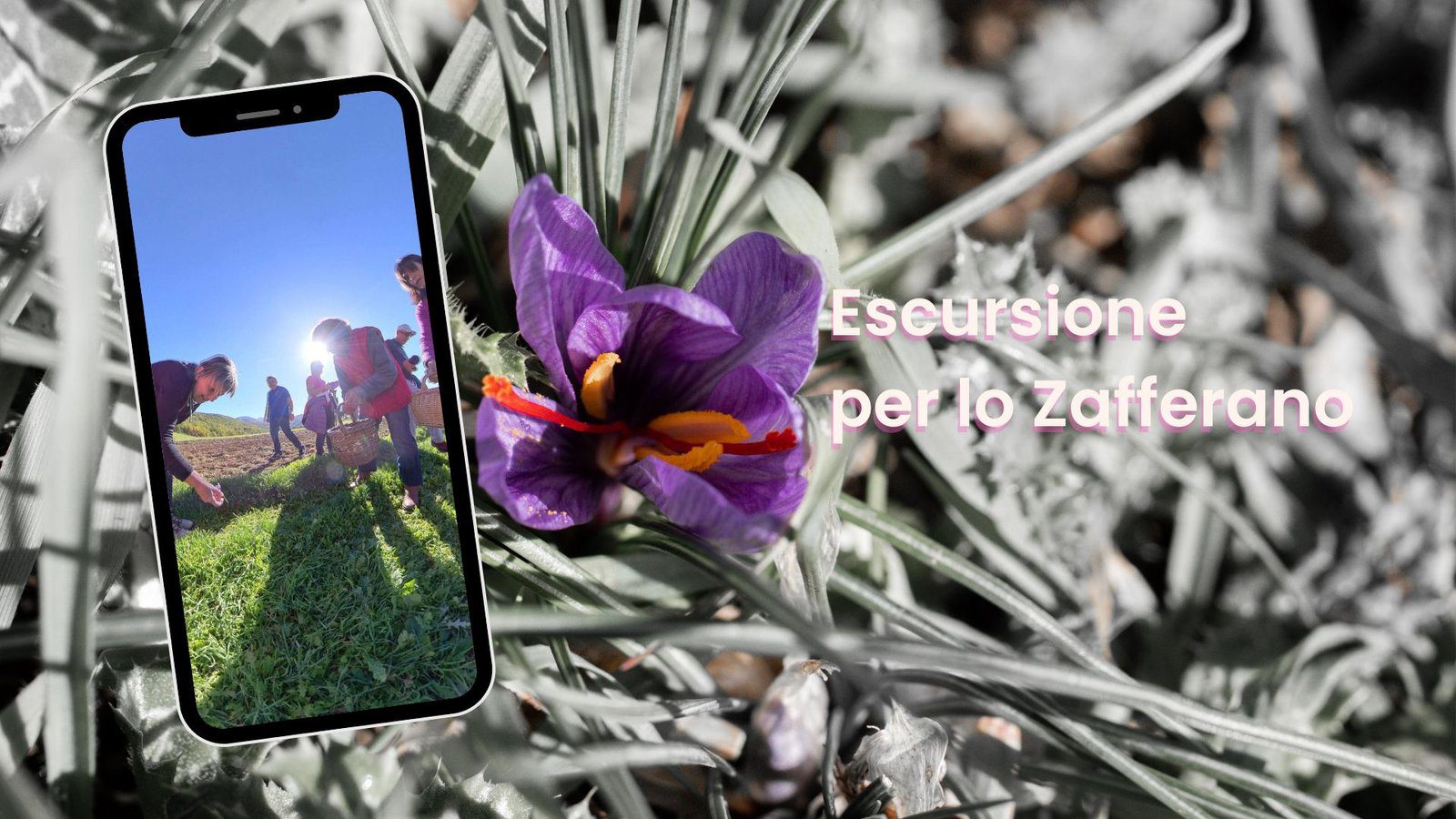 escursione trekking foliage cascia zafferano ottobre e novembre